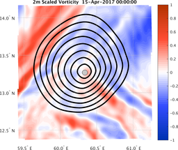 smallDomain_vorticity.png