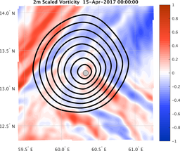 smallDomain_vorticity.png