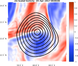 smallDomain_vorticity.png