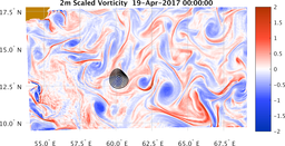 bigDomain_vorticity.png