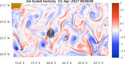 bigDomain_vorticity.png