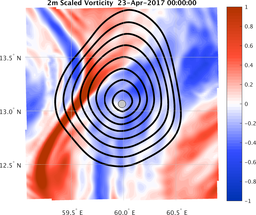 smallDomain_vorticity.png