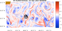 bigDomain_vorticity.png