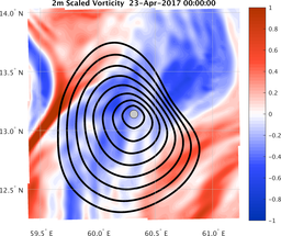 smallDomain_vorticity.png