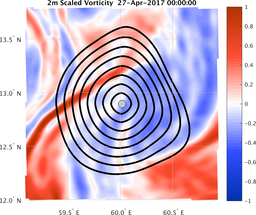 smallDomain_vorticity.png