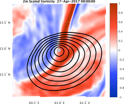 smallDomain_vorticity.png