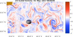 bigDomain_vorticity.png