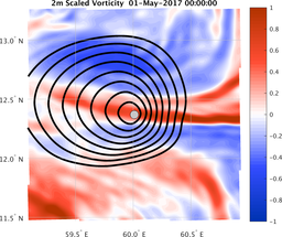 smallDomain_vorticity.png