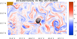 bigDomain_vorticity.png