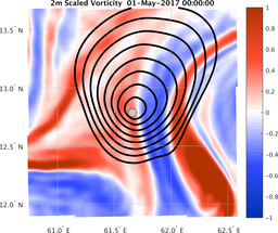 smallDomain_vorticity.png