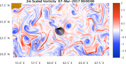 bigDomain_vorticity.png