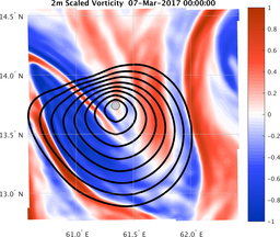 smallDomain_vorticity.png