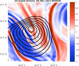 smallDomain_vorticity.png