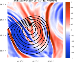 smallDomain_vorticity.png