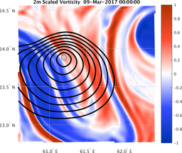 smallDomain_vorticity.png