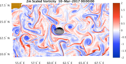 bigDomain_vorticity.png