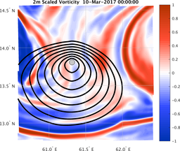 smallDomain_vorticity.png