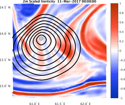 smallDomain_vorticity.png