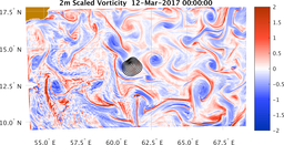 bigDomain_vorticity.png