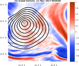 smallDomain_vorticity.png