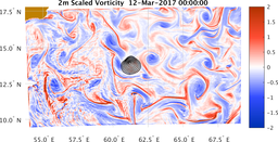 bigDomain_vorticity.png