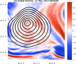 smallDomain_vorticity.png