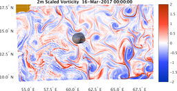 bigDomain_vorticity.png