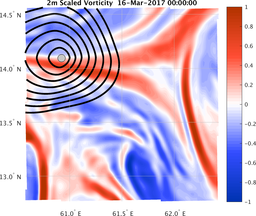 smallDomain_vorticity.png