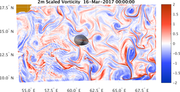 bigDomain_vorticity.png