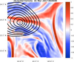 smallDomain_vorticity.png