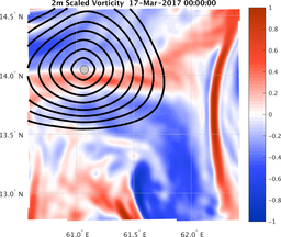 smallDomain_vorticity.png