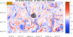 bigDomain_vorticity.png