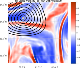 smallDomain_vorticity.png