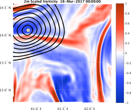 smallDomain_vorticity.png