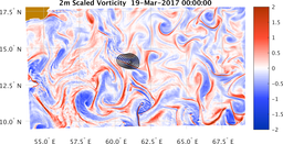 bigDomain_vorticity.png