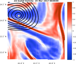 smallDomain_vorticity.png