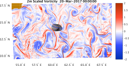 bigDomain_vorticity.png