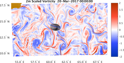 bigDomain_vorticity.png