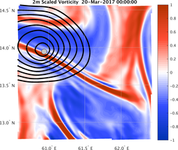 smallDomain_vorticity.png