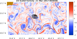 bigDomain_vorticity.png