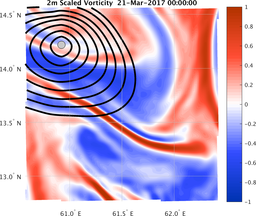 smallDomain_vorticity.png