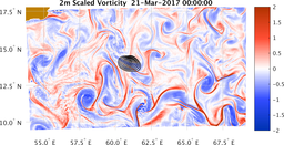 bigDomain_vorticity.png