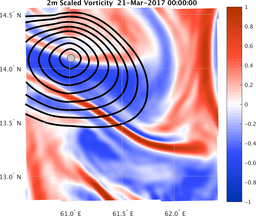 smallDomain_vorticity.png