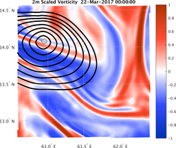 smallDomain_vorticity.png