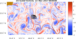 bigDomain_vorticity.png