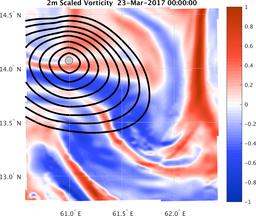 smallDomain_vorticity.png