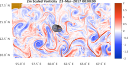 bigDomain_vorticity.png