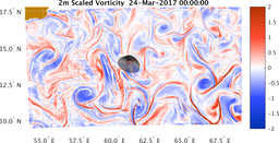 bigDomain_vorticity.png