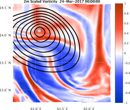 smallDomain_vorticity.png