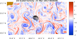 bigDomain_vorticity.png